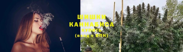 ГАЛЛЮЦИНОГЕННЫЕ ГРИБЫ Алексин