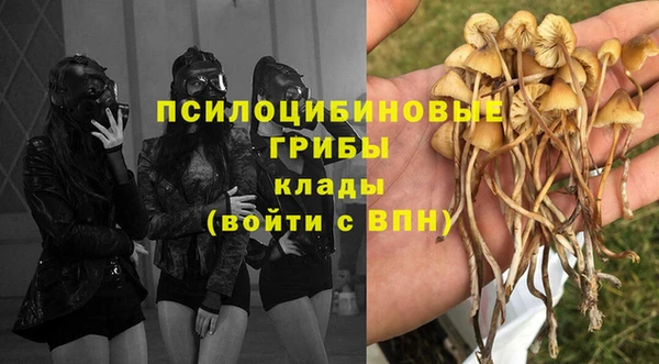 PSILOCYBIN Алексеевка