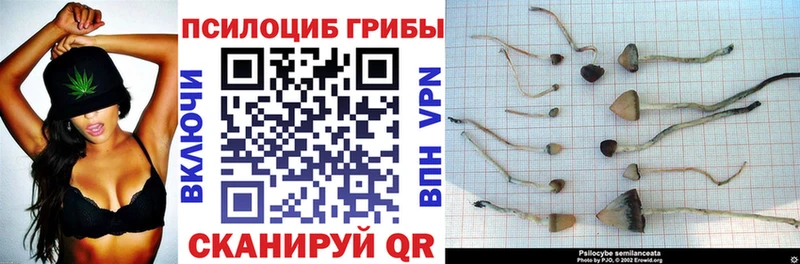 Галлюциногенные грибы MAGIC MUSHROOMS Апшеронск